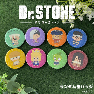 Dr.STONE グッズ ランダム缶バッジ