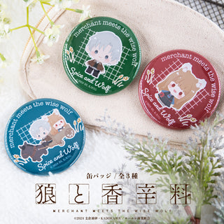 家庭教師ヒットマンREBORN! 描き下ろし パイレーツ グッズ トレーディング 缶バッジ